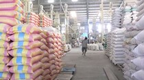 Thị trường xuất khẩu gạo của Việt Nam năm 2010